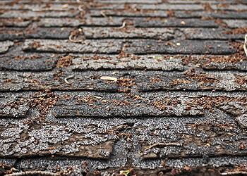 The Great American Roofing Company Images